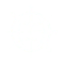 Technology Navigators