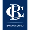 Logo for BANKING CONSULT