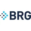 Logo for Berkeley Research Group