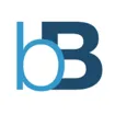 Logo for biBerk Business Insurance