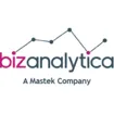 Logo for BizAnalytica