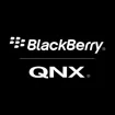 Logo for BlackBerry QNX