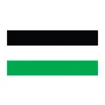 Logo for Black & McDonald Limited