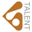 Logo for Blackstone Talent Group