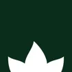 Logo for Bloomwell Group