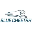 Logo for Blue Cheetah Analog Design