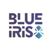 Logo for Blue Iris Tech Consulting, Inc.