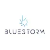 Logo for Bluestorm Design