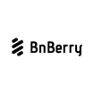 Logo for BnBerry