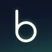 Logo for bodo.ai