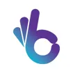 Logo for Boomering Inc
