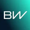 Logo for BorgWarner