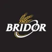 Logo for BRIDOR