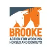 Logo for Brooke, Action For Working Horses and Donkeys