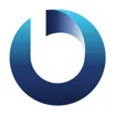 Logo for Burroughs, Inc.