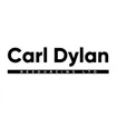 Logo for Carl Dylan Resourcing Ltd