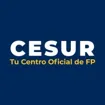 Logo for Cesur