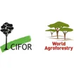 Logo for CIFOR-ICRAF