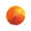 Logo for CooperVision