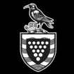 Logo for Cornwall Council