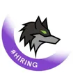 Logo for Dark Wolf Solutions