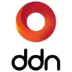 Logo for DDN Storage 