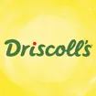 Logo for Driscoll's