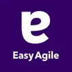 Logo for Easy Agile