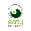 Logo for Easy Consult Ltd