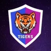 Logo for Edtech Tigers