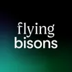 Logo for Flying Bisons