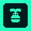Gorilla - Energy data applications
