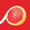 Logo for GRAPEFRUTE | Talent Acquisition for Life-Sciences & FMCG
