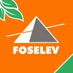 Logo for Groupe FOSELEV