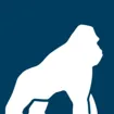 Logo for Health Gorilla