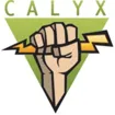 Logo for The Calyx Institute