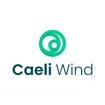 Logo for Caeli Wind GmbH