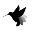 Logo for Hummingbot Foundation