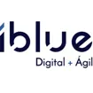 iBlue Consulting
