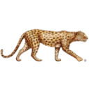 INSEMACO® Recruiting & Executive Search Consultants GmbH & Co. KG