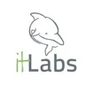 Logo for IT Labs