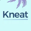 Logo for Kneat Solutions