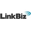 Logo for LinkBiz - Marketing de Performance - Agência Digital