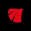Logo for Magnum Tires
