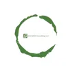 Logo for McCulloh Consulting
