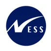 Logo for Ness Digital Engineering Romania