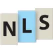 Logo for Next Level Strategies