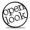 Logo for Open Look Business Solutions
