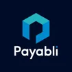 Logo for Payabli