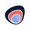 Logo for Paystone